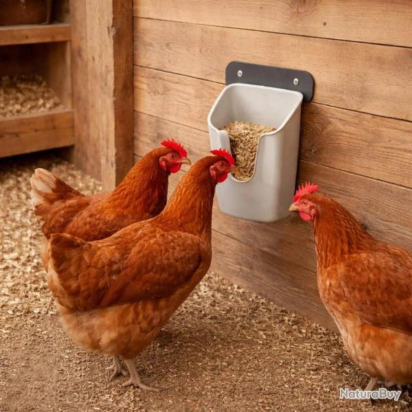 Mangeoire murale volailles V Feedr 700 g