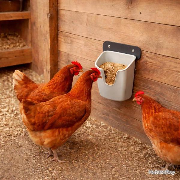 Mangeoire murale volailles V Feedr 525 g