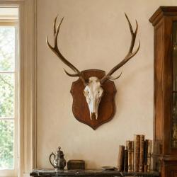 &Eacute;cusson chasse troph&eacute;e ch&ecirc;ne cir&eacute; 30x23 cm 30 x 23
