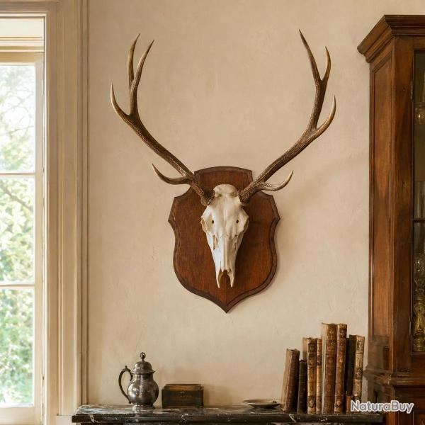 �cusson chasse troph�e ch�ne cir� 30x23 cm 30 x 23