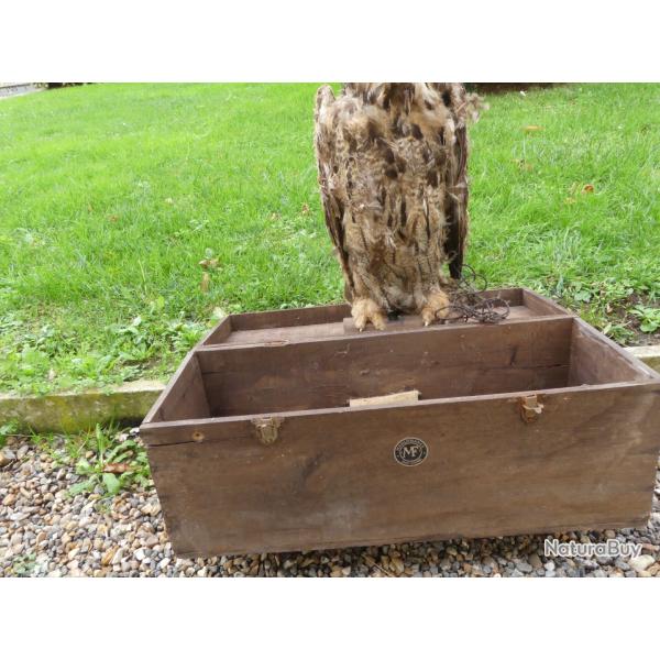 appelant grand duck articul Manufrance sortie de grenier