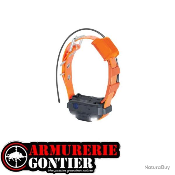 Collier de rep�rage SUPPLEMENTAIRE DOGTRA PATHFINDER 2 MINI TRX