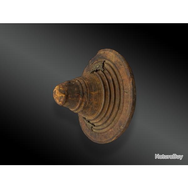 BOUCLIER DE COMBAT en PEAU, OMAN ou ZANZIBAR Afrique de l'Est, D�but XIX�me si�cle