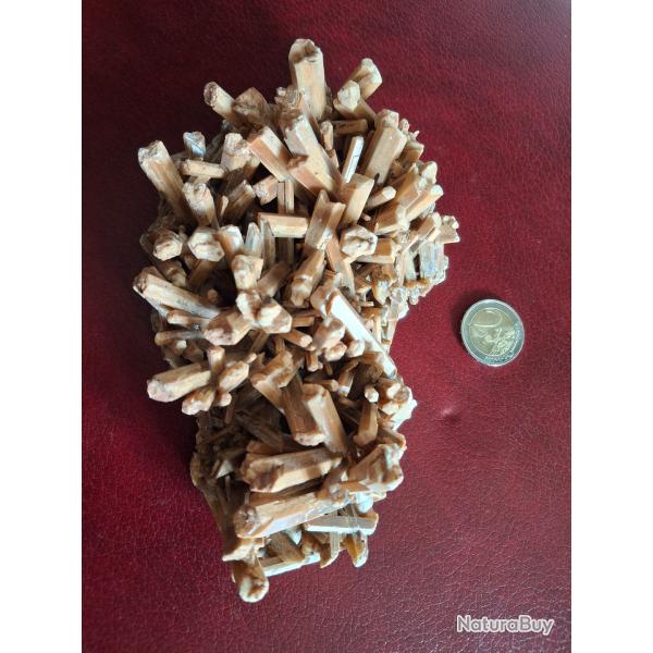 Grand gypse longueur 17,5 cm trs bel tat