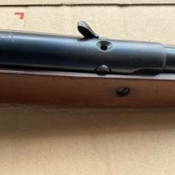 Carabine &agrave; plomb
