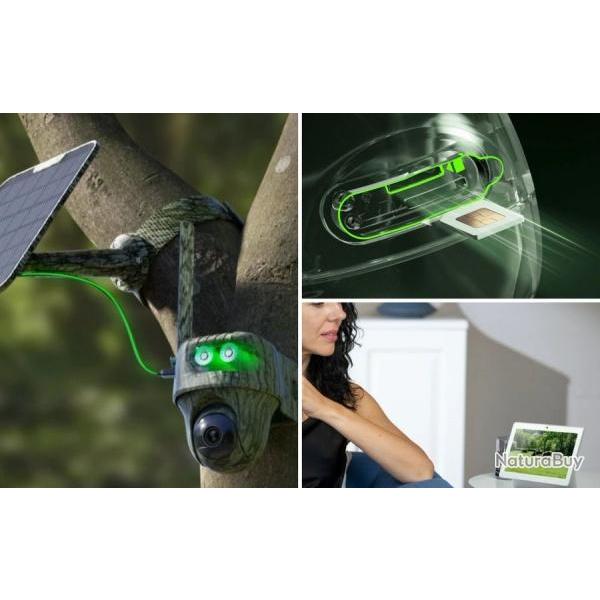 Cam�ra Reolink G450 avec panneau solaire 2