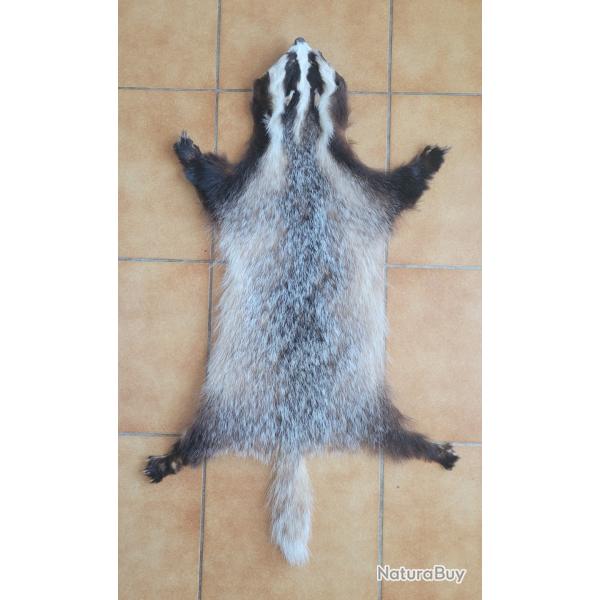 Peau de blaireau avec griffes