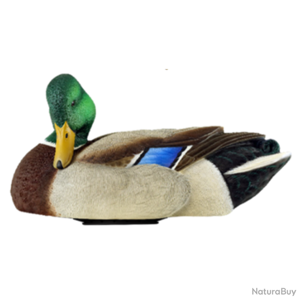 Forme de canard en mouvement POWER SHAKER - AVIANX M�le colvert au repos