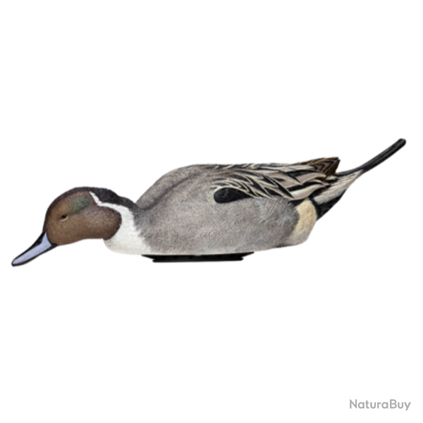 Forme de canard en mouvement POWER SHAKER - AVIANX M�le pilet mangeur