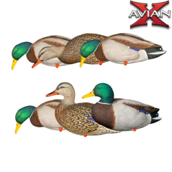 Formes de canard colvert sur pattes AXP FUSION PACK - AVIANX