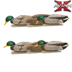 Formes de canard colvert BACK WATER TOPFLIGHT - AVIANX