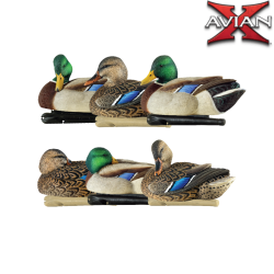 Formes de canard colvert repos et actifs TOPFLIGHT - AVIANX