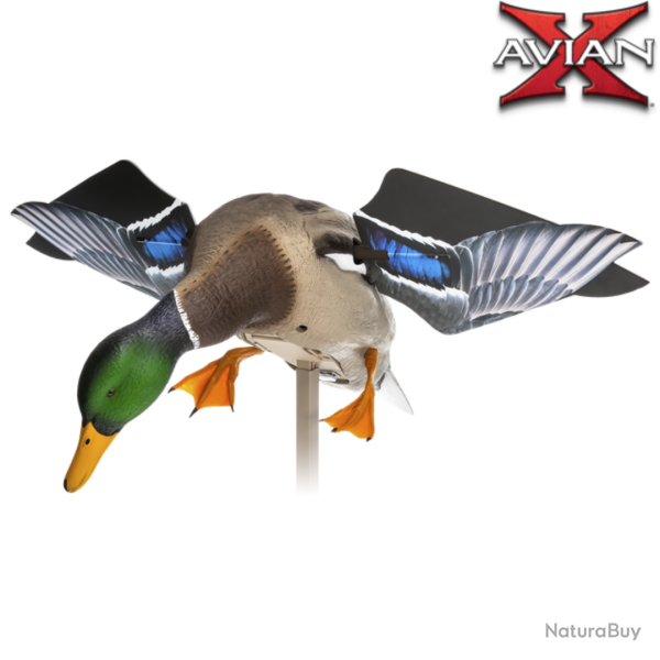 Canard colvert � ailes tournantes �lectriques POWERFLIGHT SMART MOTION (PRECOMMANDE)  - AVIANX