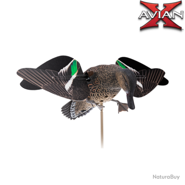 Sarcelle � ailes tournantes �lectriques POWERFLIGHT (PRECOMMANDE) - AVIANX
