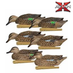 Formes de sarcelle Early Season TOPFLIGHT - AvianX