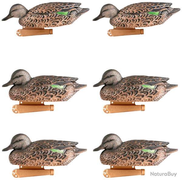 Formes de sarcelle femelles Pro Grade x6 - GHG