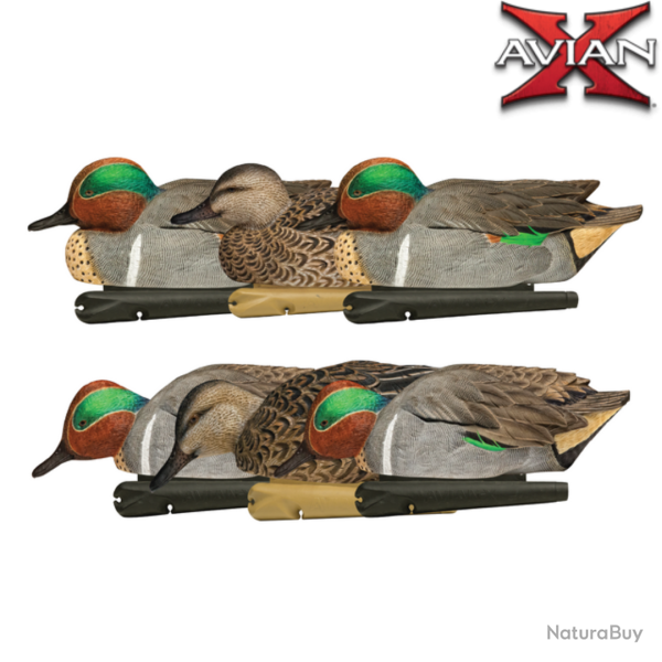 Formes de sarcelle TOPFLIGHT - AvianX
