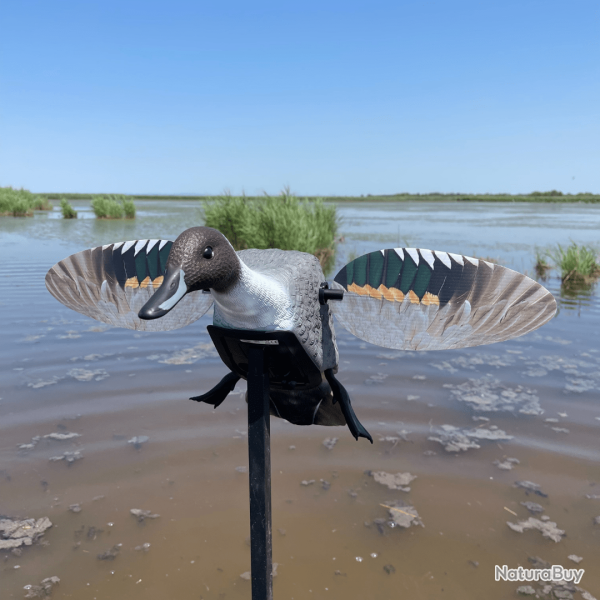 Canard pilet  ailes tournantes - ELITE SERIES MOJO