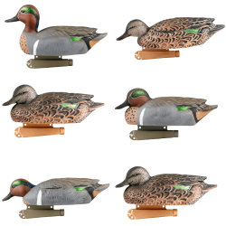 Formes de sarcelle Pro Grade x6 - GHG