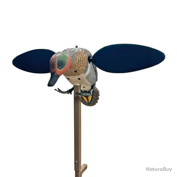 Sarcelle  ailes tournantes lectriques TEAL - MOJO