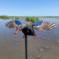 Cane colvert à ailes tournantes - MINI MALLARD ELITE SERIES MOJO®