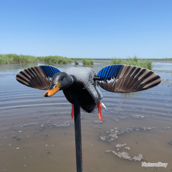 Canard colvert  ailes tournantes - MINI MALLARD ELITE SERIES MOJO