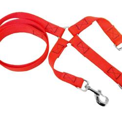 Laisse polypropylene 120 + Tripleur - Orange HB DOG