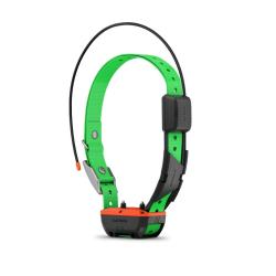 Collier De Suivi Et De Dressage Tt�25F GARMIN