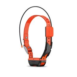 Collier De Suivi T20F GARMIN