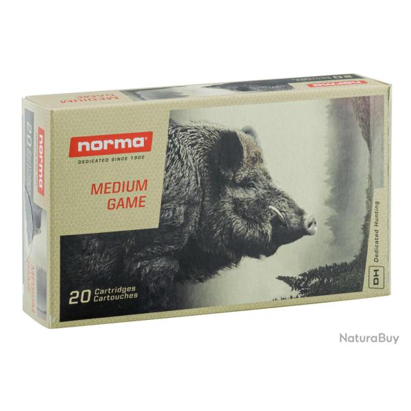 20 balles PLASTIC POINT 7X64 170GRS NORMA