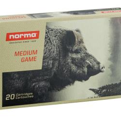 20 balles PLASTIC POINT 9.3X62 285GRS NORMA
