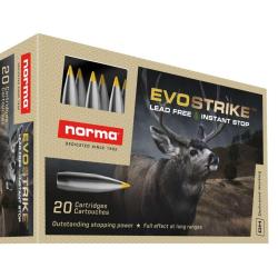 20 balles EVOSTRIKE Cal. 270 WIN 96 GRS NORMA