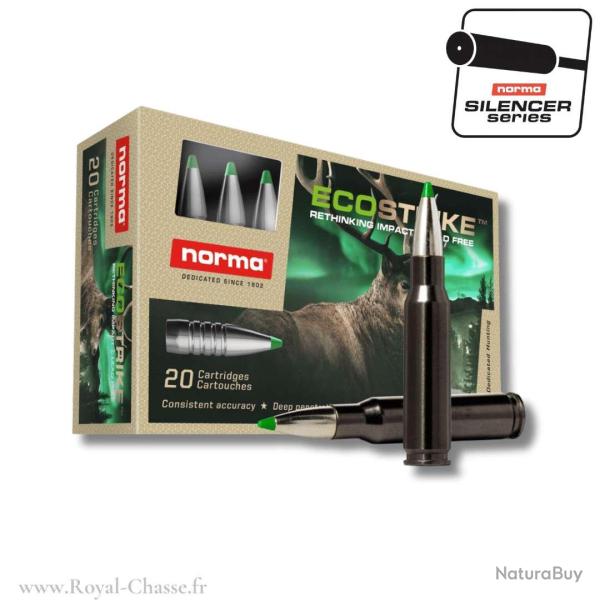 20 balles ECOSTRIKE SILENCER Cal. 8X57 JS 160 GRS NORMA