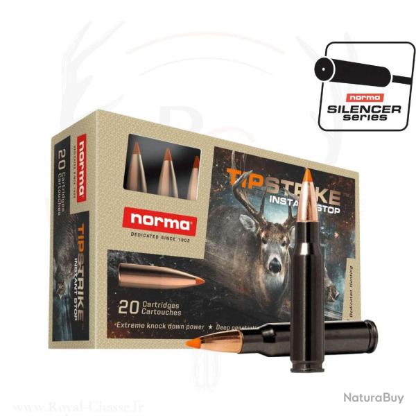 20 balles TIPSTRIKE SILENCER Cal. 30-06 SPRG 170 GRS NORMA