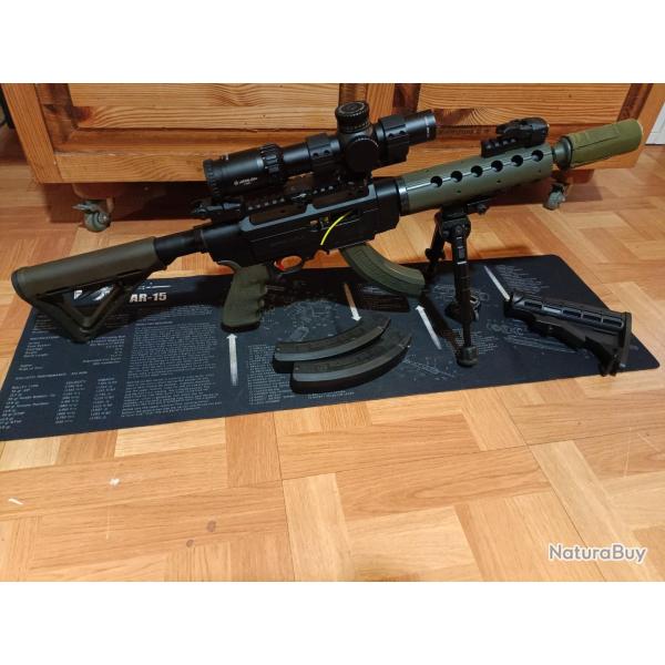 CARABINE SEMI-AUTO RUGER SR 22 RIFFLE CUSTOM OD GREEN 10 POUCES RARE AFFAIRE A SAISIR
