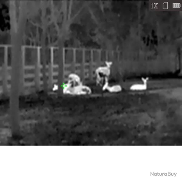 Monoculaire Lynx vision thermique 15,8 x 6,1 x 5,7cm IP67