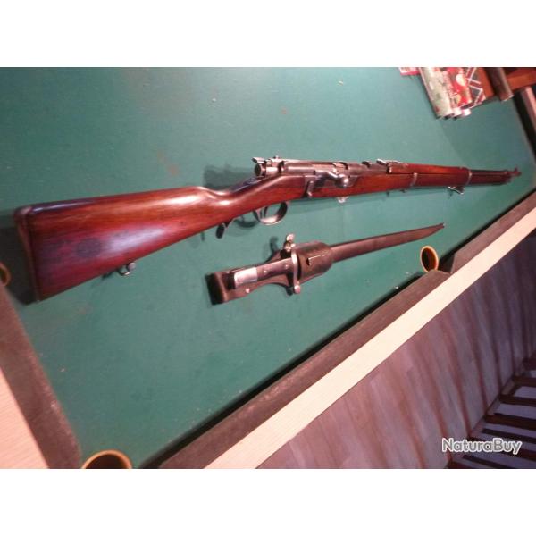 Superbe et Rare CARABINE STEYR KROPATSCHEK 1886 avec encore son garde main bois d'origine et sa baio