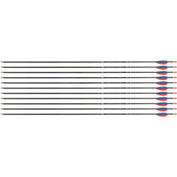 Fl&egrave;che Avalon Tyro 4.2 en carbone (nouvelles) 28" 1300 1 plume bleue 2 plumes rouges