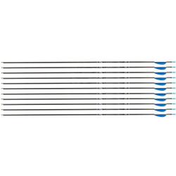 Fl&egrave;che Avalon Tyro 4.2 en carbone (nouvelles) 28" 1100 1 plume blanche 2 plumes bleues