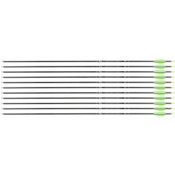 Fl&egrave;che Avalon Tyro 4.2 en carbone (nouvelles) 28" 1100 1 plume blanche 2 plumes vertes