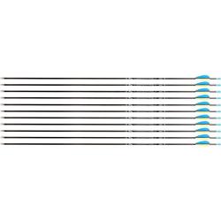 Fl&egrave;che Avalon Tyro 4.2 en carbone (nouvelles) 29" 1000 1 plume jaune 2 plumes bleues