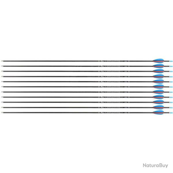 Fl�che Avalon Tyro 4.2 en carbone (nouvelles) 29" 900 1 plume rouge 2 plumes or