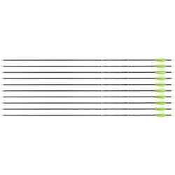 Fl&egrave;che Avalon Tyro 4.2 en carbone (nouvelles) 30" 700 1 plume blanche 2 plumes rouges