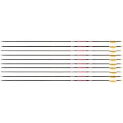 Fl&egrave;che Avalon Tyro 4.2 en carbone (nouvelles) 30" 700 1 plume blanche 2 plumes or