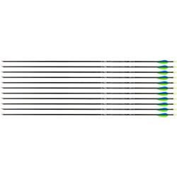 Fl&egrave;che Avalon Tyro 4.2 en carbone (nouvelles) 600 31" 1 plume bleue 2 plumes vertes