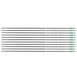 Fl&egrave;che Avalon Tyro 4.2 en carbone (nouvelles) 600 31" 1 plume bleue 2 plumes jaunes