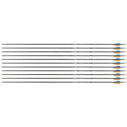 Fl&egrave;che Avalon Tyro 4.2 en carbone (nouvelles) 600 31" 1 plume bleue 2 plumes oranges