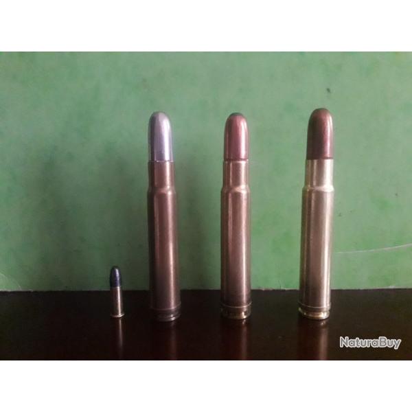 62 cartouches de 460 weatherby magnum