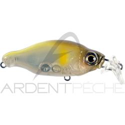 Poisson nageur GAN CRAFT Bacra SR 13 Gm chart