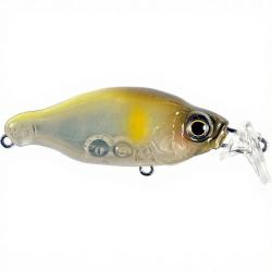 Poisson nageur GAN CRAFT Bacra SR 13 Gm chart